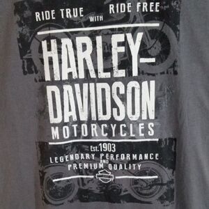 Harley-Davidson Gray Short Sleeve Ride True Ride Free Tee Men’s Large